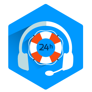 Emergency Assistance Icon